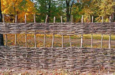 How to Make Willow Structures for Your Garden Image